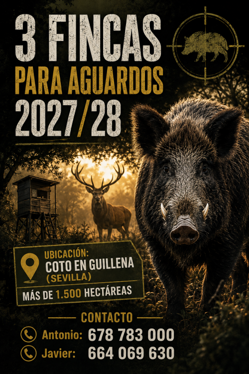 imagen de AGUARDOS EN SEVILLA 